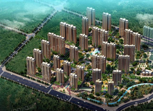 观澜国际楼盘图片