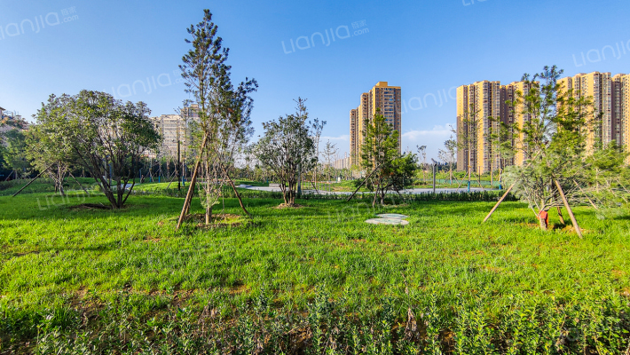 风憬天下外景图