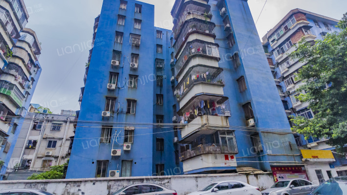 花边岭新银开发新村外景图