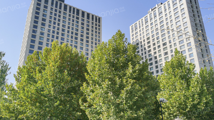 金茂府南区外景图