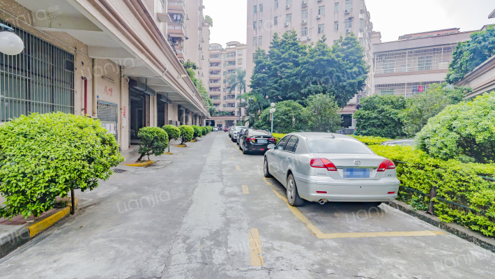 东碧花苑外景图