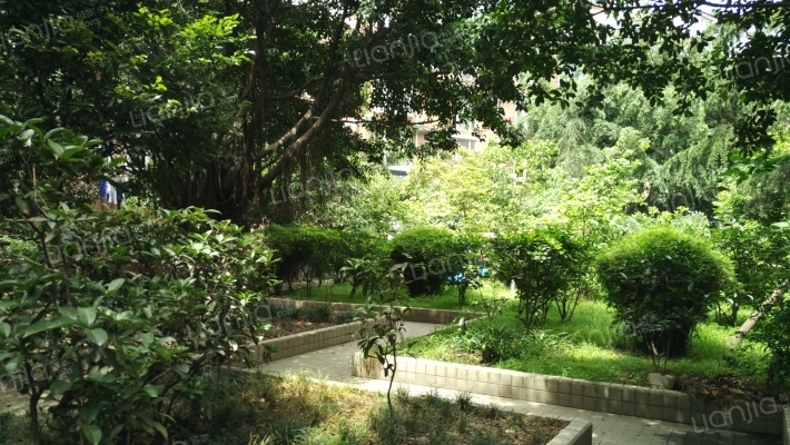 锦鸿西苑外景图