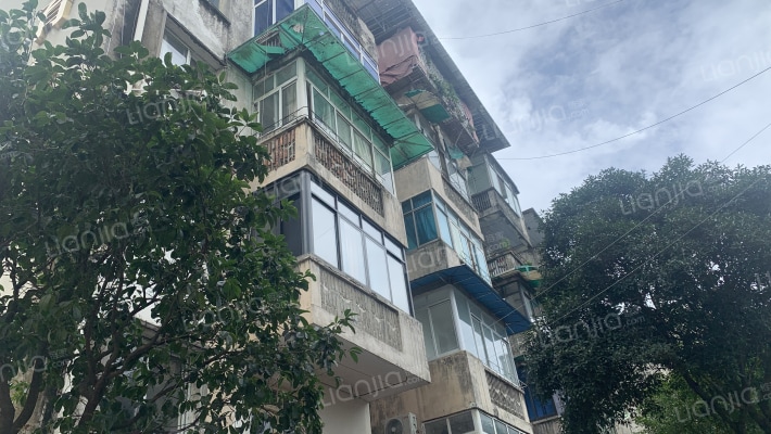 外南街137号外景图