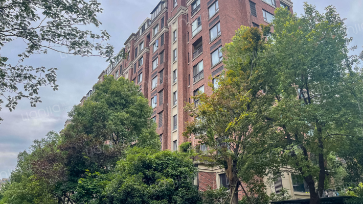 远洋心里外景图