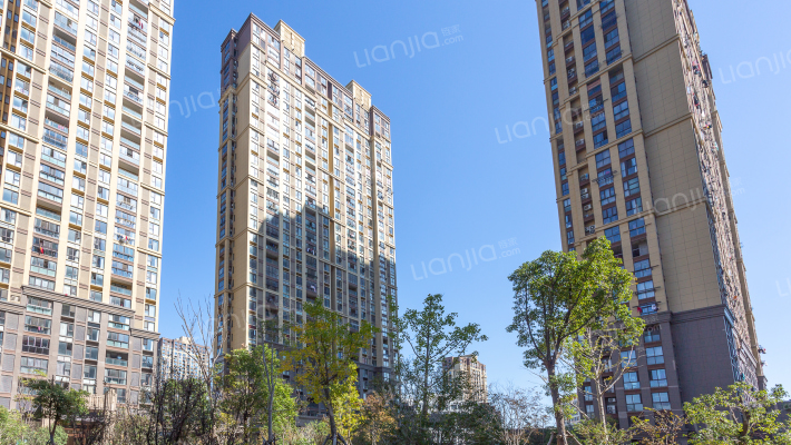 万达中央华府外景图