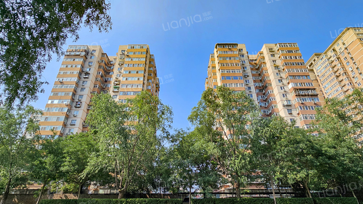 马家堡甲116号院外景图