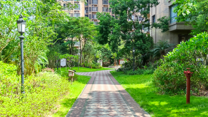 紫兰公馆外景图