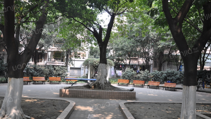 二十一世纪花园二期外景图