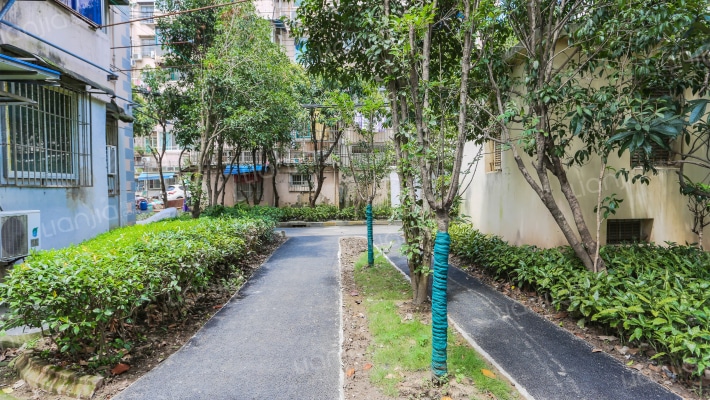 东建新村外景图