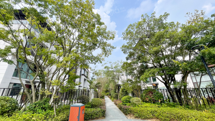 九里芳华外景图