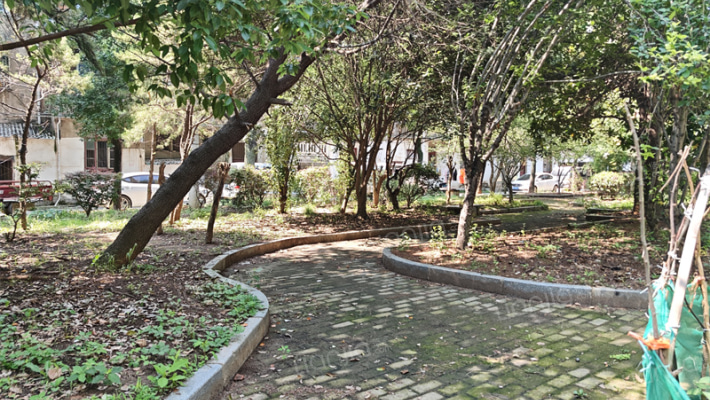 菜科所小区外景图