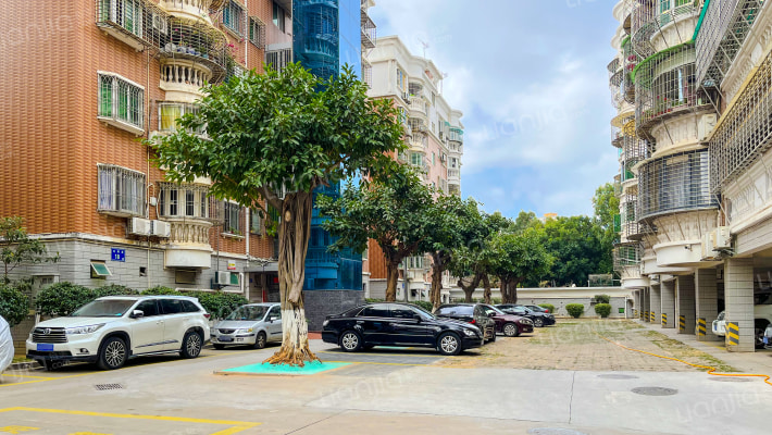 龙翔花园外景图