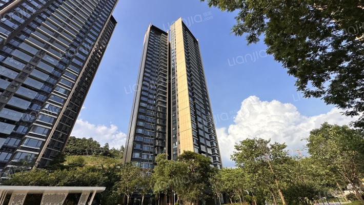 创基天峰外景图