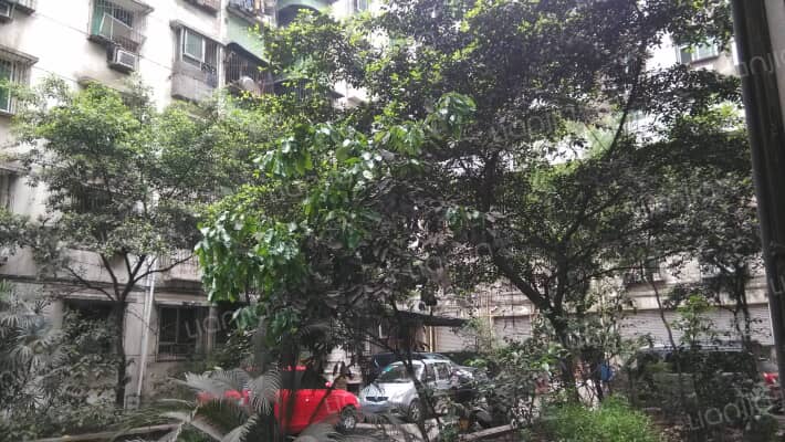 共和新村外景图