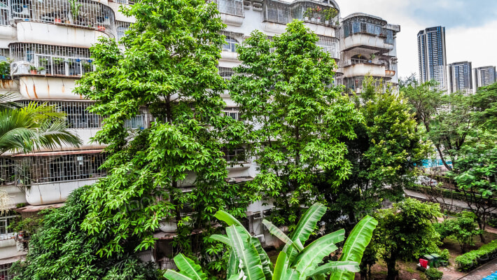 科苑山庄外景图