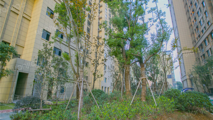 盛世华府外景图