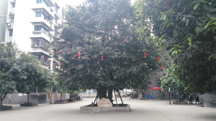 大渡口-月光村外景图