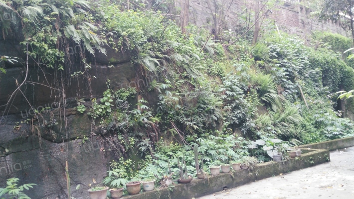 钢花路28号外景图