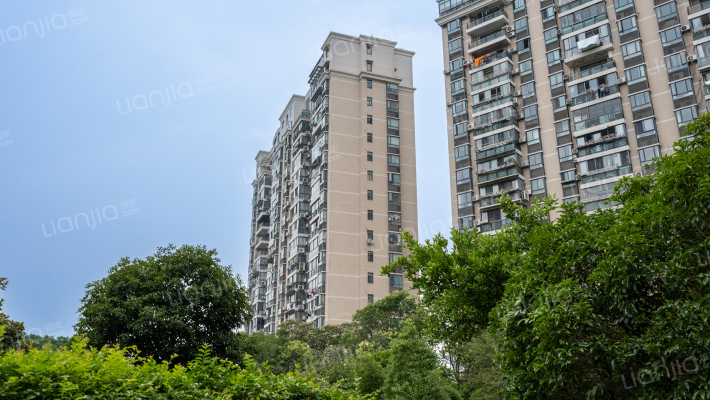 滨江华都外景图