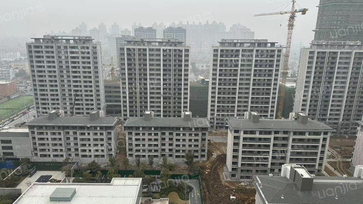 伟星长江赋外景图