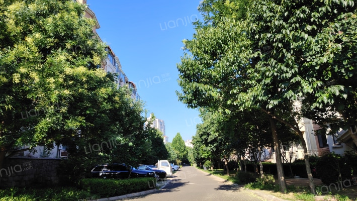 崂山水岸枫景外景图