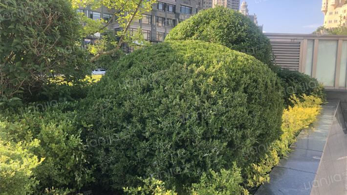 星海新天地外景图