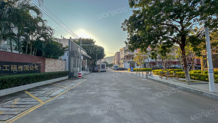 大良单家苏岗居委会外景图