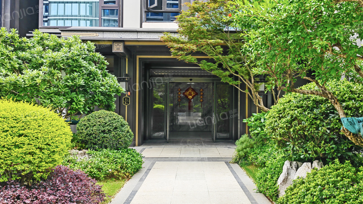 君兰和著外景图