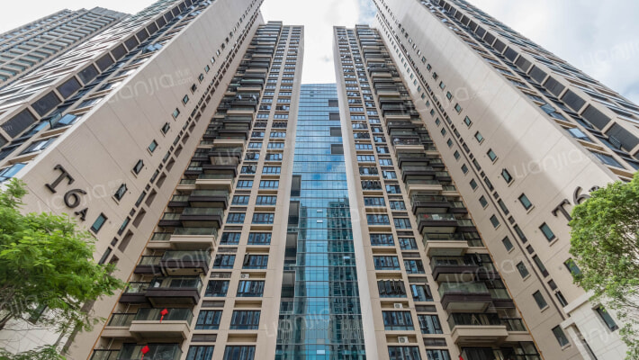 鹿丹村海关住宅楼外景图