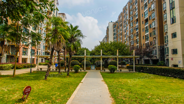 阅城国际花园外景图