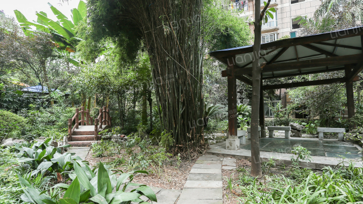 龙珠花园外景图