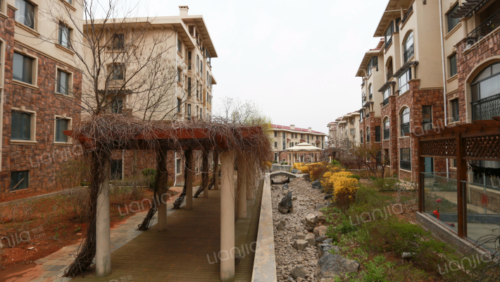 王仔假日外景图