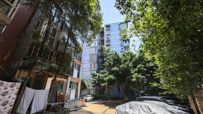 管委会集资房外景图