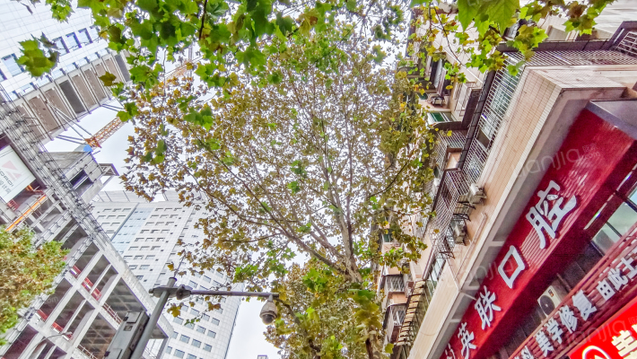 医学院路5号外景图