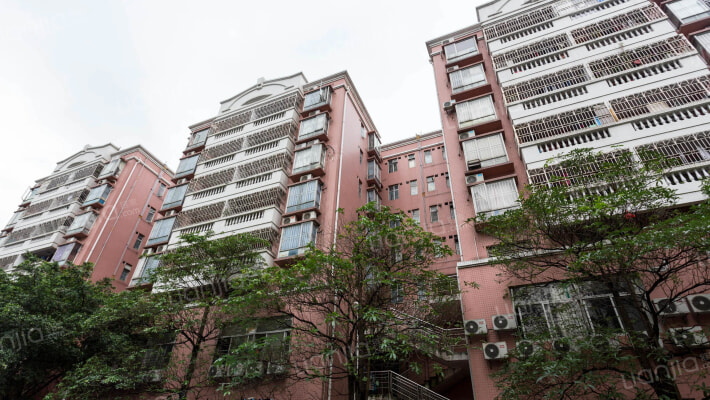 南方明珠市场外景图