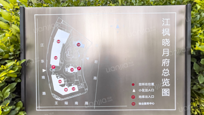 荣安江枫晓月外景图