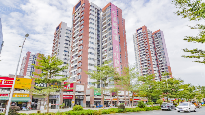 中惠松湖城一期外景图