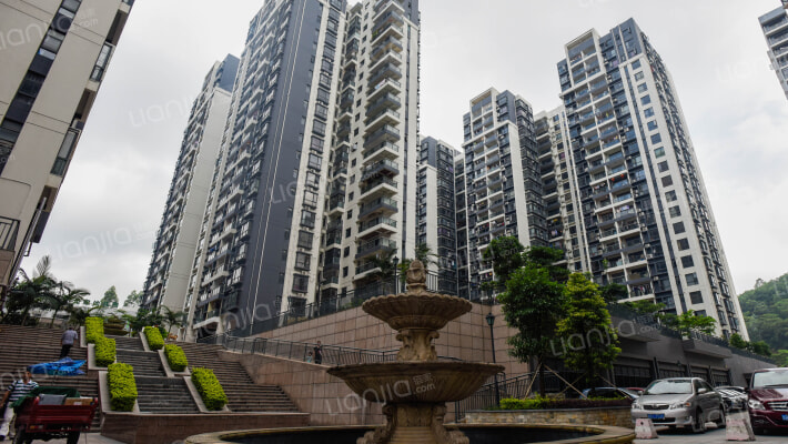 龙军花园外景图