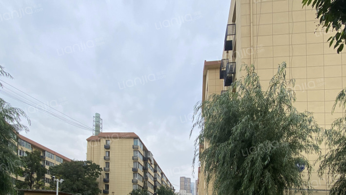 培华学院东区外景图