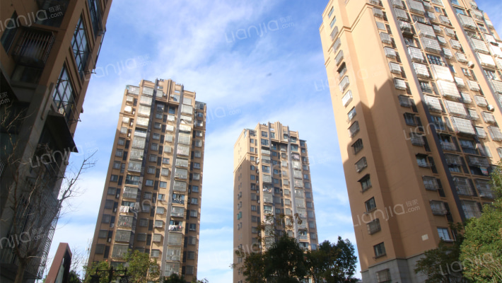 盛大华都外景图