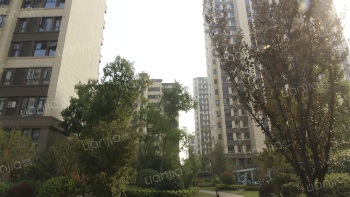 东台桃李天下外景图