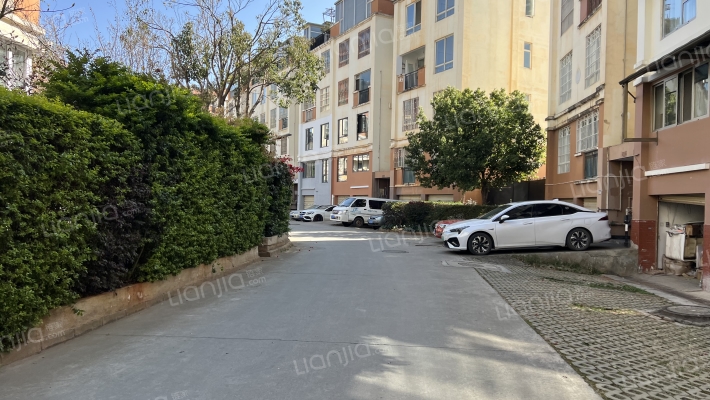 夏意雅园外景图