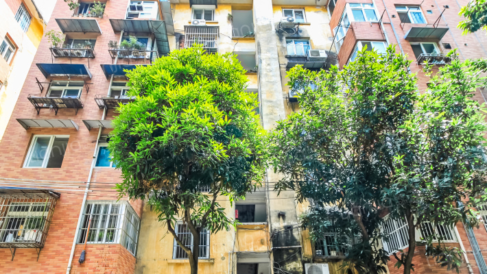 区建材局职工宿舍外景图