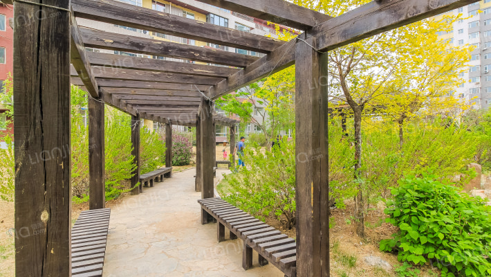 阳光嘉年华外景图