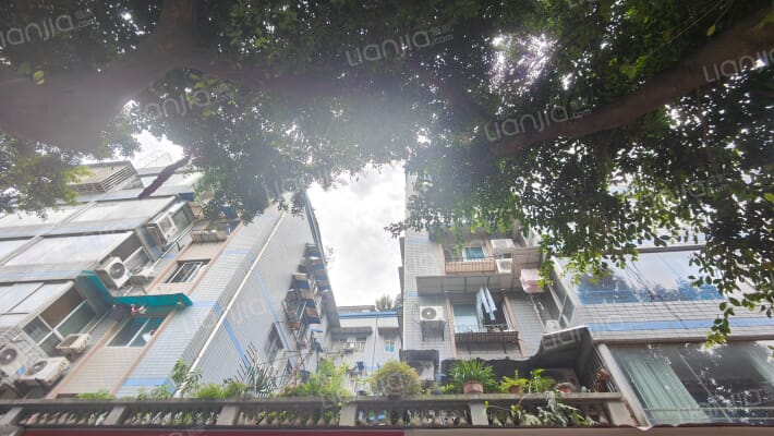 东兴大厦外景图