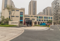 新明半岛22
