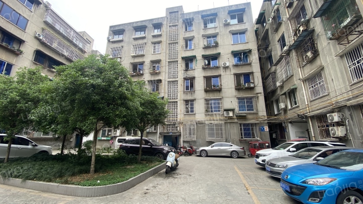 紫瑞街一巷21号外景图