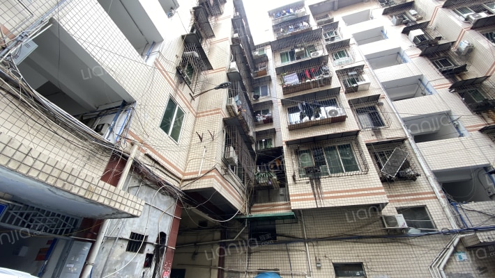 东风路74号外景图