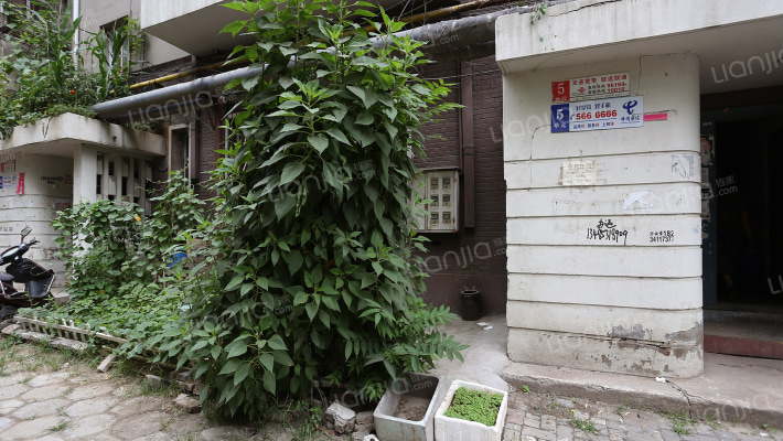 矿机宿舍(解放北路)外景图