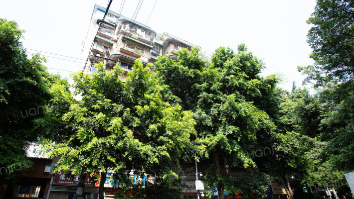 石人正街88号外景图